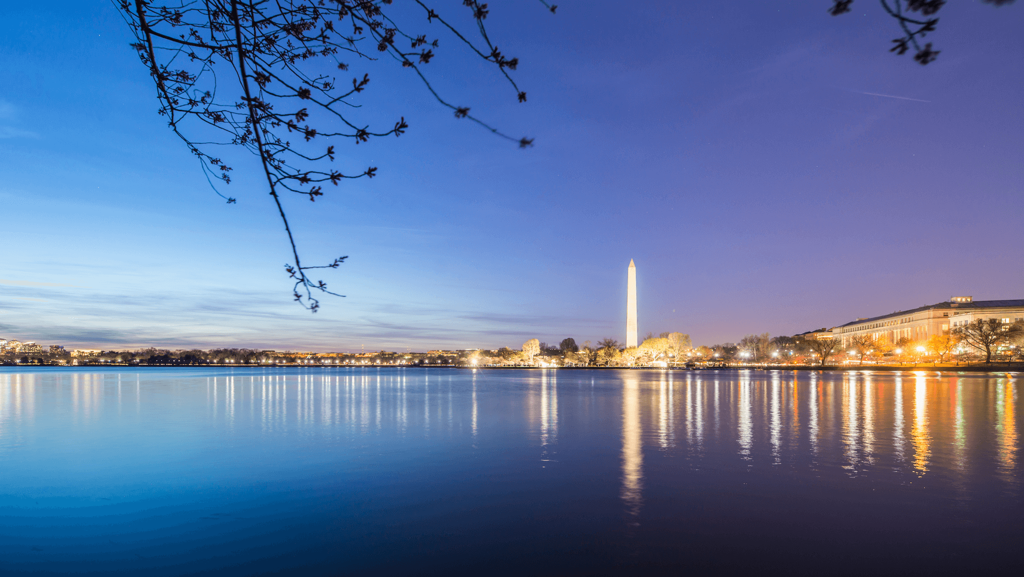 Washington Appraisal View